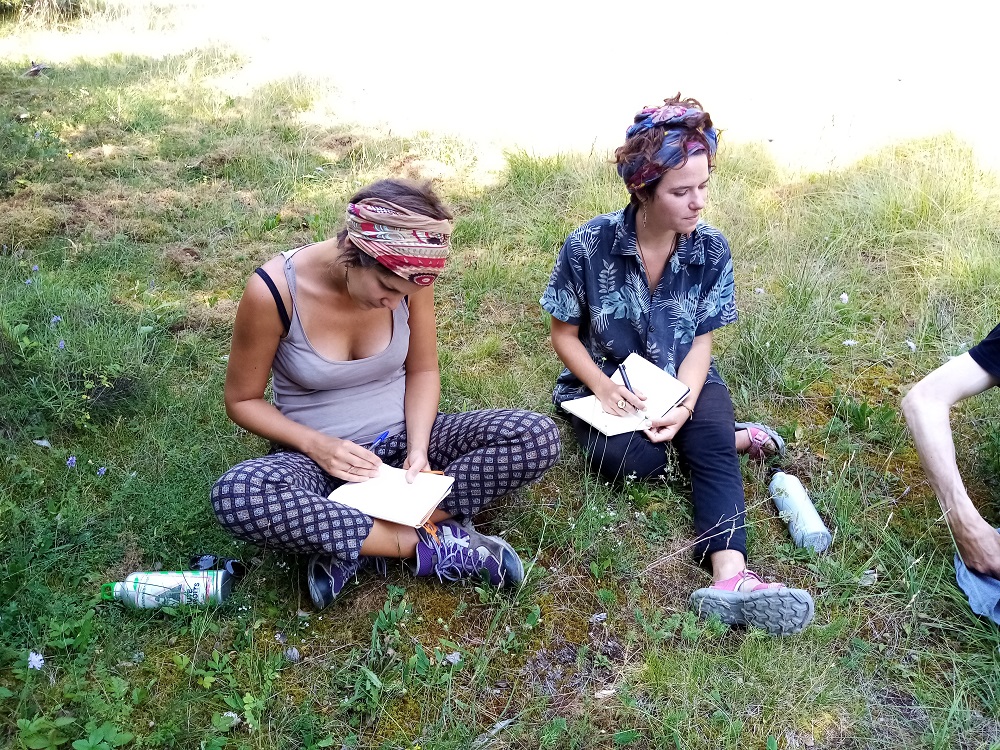 INITIATION À L’HERBORISTERIE DANS NOTRE QUOTIDIEN ! NIVEAU 1
